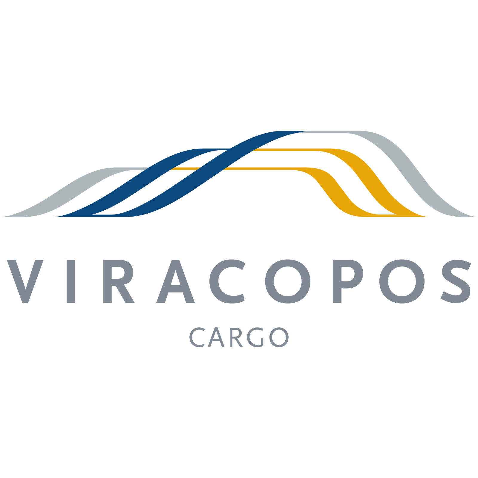 Aeroportos Brasil Viracopos S.A.